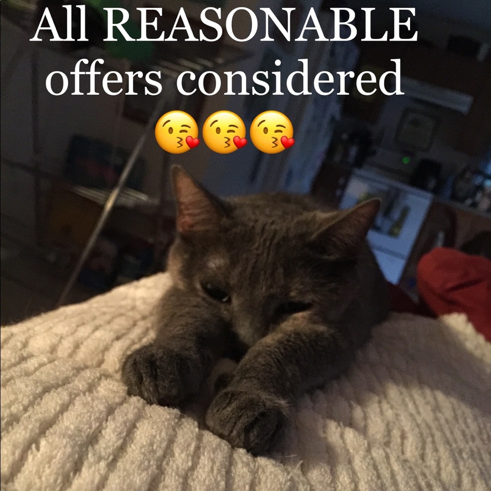 😻 ALL REASONABLE OFFERS CONSIDERED 😻